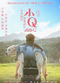 深夜的小伙子